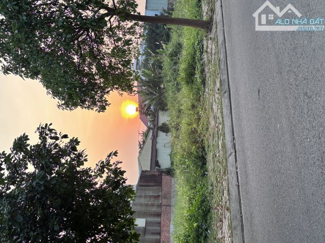 bán gấp nền đất 6m ngang KDC phạm văn hai tân vĩnh lộc - 5