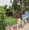 Bán đất Dương Đức Hiền Gia Lâm diện tích 45m, mặt tiền 3,9m lô goá 3 thoáng chỉ 3 tỷ 79