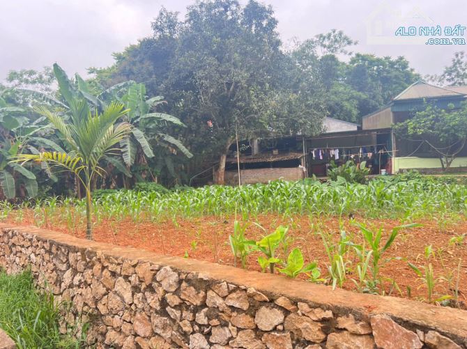 Hơn 2tr/m² – 669m² – Xóm Mỏ Ngô, Hợp Thanh, TP Hoà Bình - 1