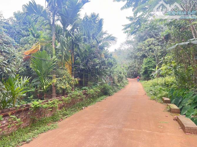 Hơn 2tr/m² – 669m² – Xóm Mỏ Ngô, Hợp Thanh, TP Hoà Bình - 2