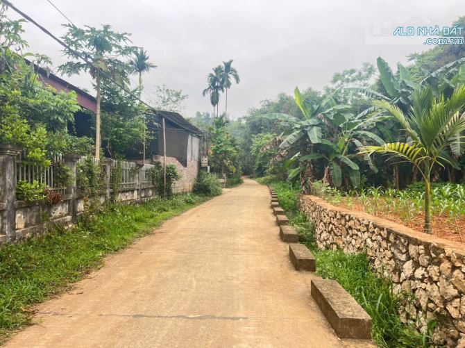 Hơn 2tr/m² – 669m² – Xóm Mỏ Ngô, Hợp Thanh, TP Hoà Bình - 4