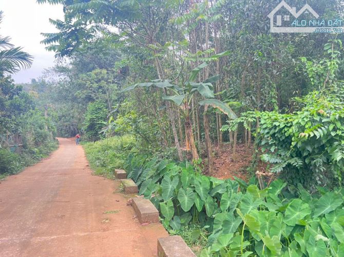 Hơn 2tr/m² – 669m² – Xóm Mỏ Ngô, Hợp Thanh, TP Hoà Bình - 5