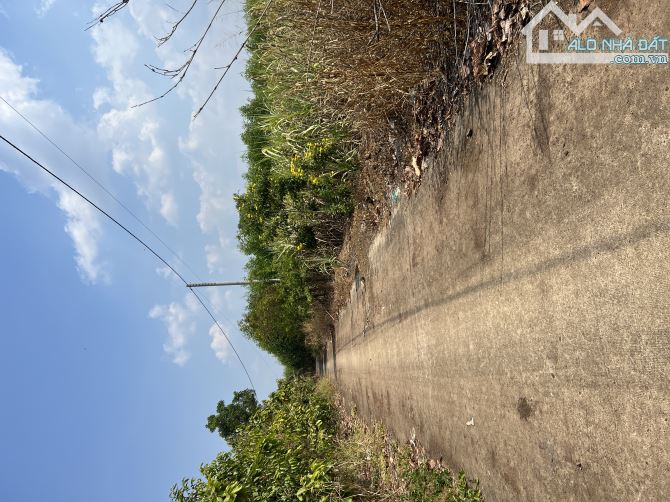 2000m2 đường bê tông xã Hưng Thịnh - 1