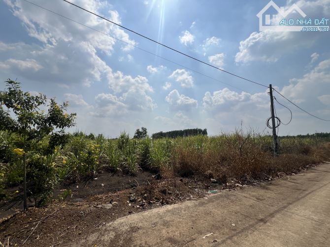 2000m2 đường bê tông xã Hưng Thịnh - 4