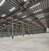 CHO THUÊ NHÀ XƯỞNG 27000m² TẠI CẨM GIÀNG HẢI DƯƠNG