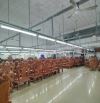 BÁN XƯỜNG MẶT TIỀN XUÂN THỚI THƯỢNG 1800M2, 2 TẦNG. GIÁ CHỈ 69 TỶ TL