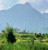 Bán đất Minh Quang, TT xã Ba Vì, 150m ra TL415, đất cao, view toàn cảnh, oto, 1081m, 2.6tỷ