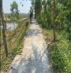 🔰 Bán đất lúa: 2.600m² (19.9m x 130m) 🔰 Đường đan 2m, xã Gáo Giồng, H Cao Lãnh cũ