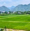 Đất Ba Trại, Ba Vì dưới 3 tỷ, 200m ra TL86, và UB xã Suối Hai, view đồng, 720m, oto.