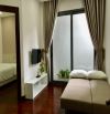 Căn hộ 1PN 40m2 ngay Nowzone Quận 1, Full Nội thất cao cấp