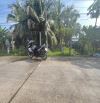 Bán Hơn 13 Công Đất Có 300m Thổ Cư Lộ Ô Tô Cách Trung Tâm Cần Thơ 7km