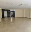 Cho thuê nhà công viên Cầu Giấy, 100m2, 7 tầng thông sàn, làm văn phòng, kinh doanh