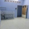 Cho thuê phòng gần chợ Hoàng Hoa Thám Tân Bình ga T3 vào sân bay