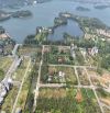 Bán đất đấu giá chợ tình, 1000m2 full thổ cư, cách hồ Đại Lải 300m