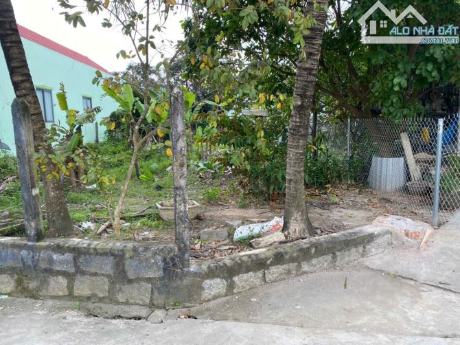 Bán đất Bình Lộc thôn Nghiệp Thành - nguồn gốc đất dân cắt bán view cánh đồng lúa mát mẻ - 1