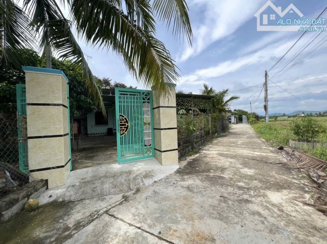 Bán đất Bình Lộc thôn Nghiệp Thành - nguồn gốc đất dân cắt bán view cánh đồng lúa mát mẻ - 2