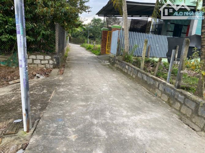 Bán đất Bình Lộc thôn Nghiệp Thành - nguồn gốc đất dân cắt bán view cánh đồng lúa mát mẻ - 3