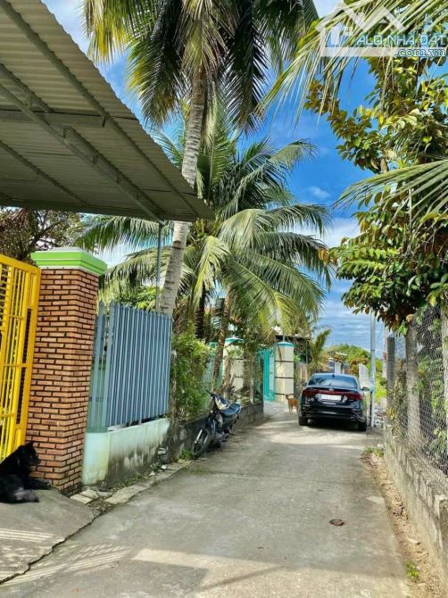 Bán đất Bình Lộc thôn Nghiệp Thành - nguồn gốc đất dân cắt bán view cánh đồng lúa mát mẻ - 4