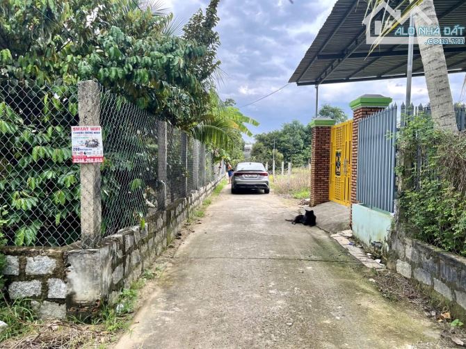 Bán đất Bình Lộc thôn Nghiệp Thành - nguồn gốc đất dân cắt bán view cánh đồng lúa mát mẻ - 5