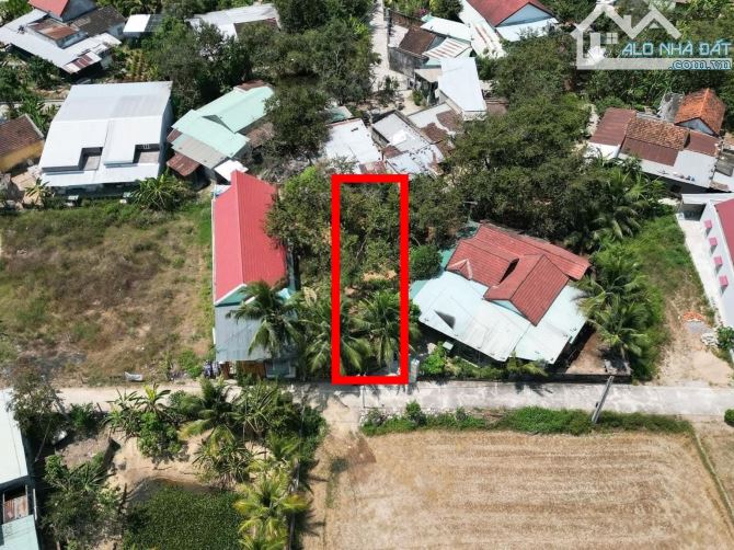 Bán đất Bình Lộc thôn Nghiệp Thành - nguồn gốc đất dân cắt bán view cánh đồng lúa mát mẻ - 6