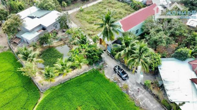 Bán đất Bình Lộc thôn Nghiệp Thành - nguồn gốc đất dân cắt bán view cánh đồng lúa mát mẻ - 7