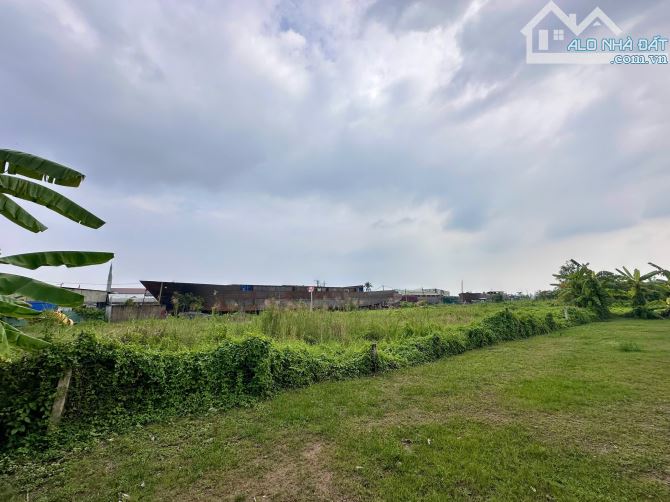 Bán 12.780 m2 đất có thổ cư mặt tiền tỉnh lộ 864 + mặt sông Tiền xã Phú Phong,Châu Thành