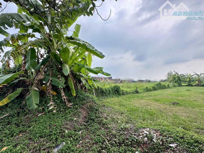 Bán 12.780 m2 đất có thổ cư mặt tiền tỉnh lộ 864 + mặt sông Tiền xã Phú Phong,Châu Thành - 1