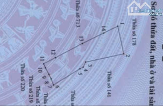 BÁN GẦN 10.000 M² ĐẤT DỊCH VỤ(KINH DOANH) – TRUNG TÂM LA GI, BÌNH THUẬN – ĐƯỜNG LÝ NAM ĐẾ - 2