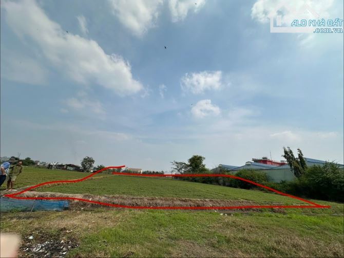 BÁN GẤP 2533m2 Đất- NN, SHR , Bà Điểm 4-  Hóc Môn-  Chỉ 27 Tỷ 5 - 3