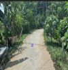 🔰 Bán ao cá: 15.000m² (Mặt tiền 12m, đất lúa) 🔰 Đường đan xe ô tô, xã Bình Hàng Trung
