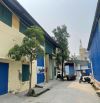 Cho thuê kho xưởng tại Vạn Phúc , Hà Đông. 100m2, 300m2, 725m2