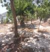 Bán đất 2000m2 đảo Bình Ba, Cam Ranh, Khánh Hòa