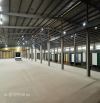 ✅CHO THUÊ KHO 2200M2 CỤM CN QUẤT ĐỘNG, THƯỜNG TÍN, GIÁ RẺ 200TR