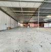 CHO THUÊ KHO 600M2 MẶT TIỀN LÊ THỊ HỒNG GẤM, P6 MỸ THO