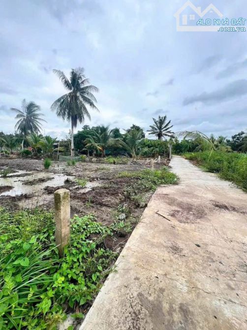 1300m2 đất đường 🚗 giá 1 tỷ290 Phú Ngãi Trị, CT sổ hồng - 1