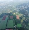 Z167 ** FARM SẦU RIÊNG 23HA ĐẠT LÝ - HOÀ THUẬN - P. TÂN AN - ĐAKLAK- GIÁ 430TR/SÀO