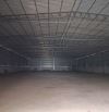 ✅CHO THUÊ KHO 1200M2 NINH SỞ, CONTAINER 20F, GIÁ RẺ 60K/M2