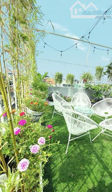 MẶT PHỐ Nam Dư — KINH DOANH ĐỈNH 62m² × 6 tầng · MT 5m · Giá 20 tỷ (thương lượng).