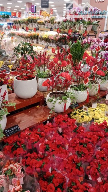 Nhà Đẹp Ở Luôn Hoàng Quốc Việt, Cầu Giấy 65m, giá 3.98 tỷ.