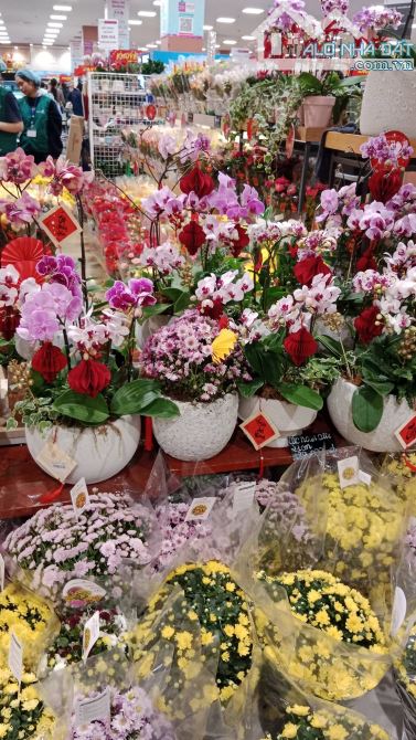 Nhà Đẹp Ở Luôn Hoàng Quốc Việt, Cầu Giấy 65m, giá 3.98 tỷ.