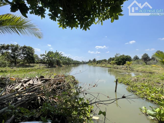Bán Gần 20 Công Có Sẵn Biệt Thự Ao Vườn Sinh Thái Nghĩ Dưỡng Cách Trung Tâm Cần Thơ 11km. - 10
