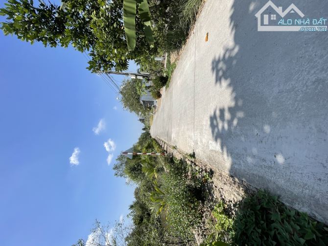 Bán Gần 20 Công Có Sẵn Biệt Thự Ao Vườn Sinh Thái Nghĩ Dưỡng Cách Trung Tâm Cần Thơ 11km. - 5