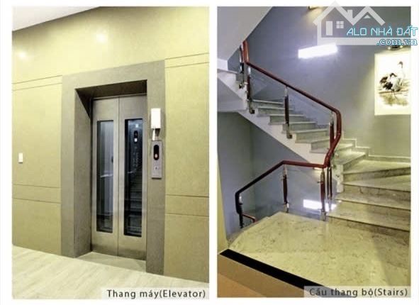 Biệt thự hẻm xe tải Nguyễn Kiệm P.Đức Nhuận 6 tầng 240m2 Giá 59 tỷ - 5