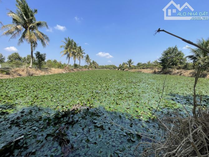 Bán Gần 20 Công Có Sẵn Biệt Thự Ao Vườn Sinh Thái Nghĩ Dưỡng Cách Trung Tâm Cần Thơ 11km. - 9