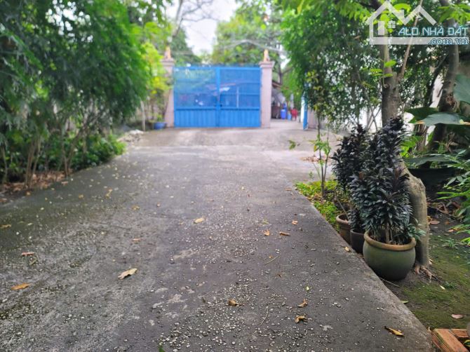 HÀNG THƠM HIẾM – BIỆT THỰ 800M² TRẦN VĂN MƯỜI – CHO VAY NHẬN NỢ