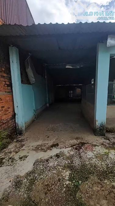 NHÀ NÁT (6x32) MẶT TIỀN THANH NIÊN – BÀ ĐIỂM, HÓC MÔN - GIÁ RẺ HIẾM - 1