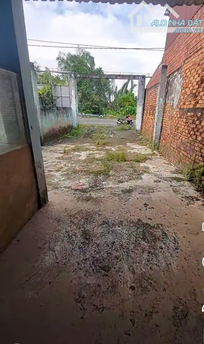 NHÀ NÁT (6x32) MẶT TIỀN THANH NIÊN – BÀ ĐIỂM, HÓC MÔN - GIÁ RẺ HIẾM - 2