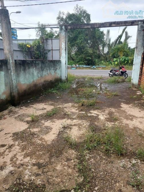 NHÀ NÁT (6x32) MẶT TIỀN THANH NIÊN – BÀ ĐIỂM, HÓC MÔN - GIÁ RẺ HIẾM - 3