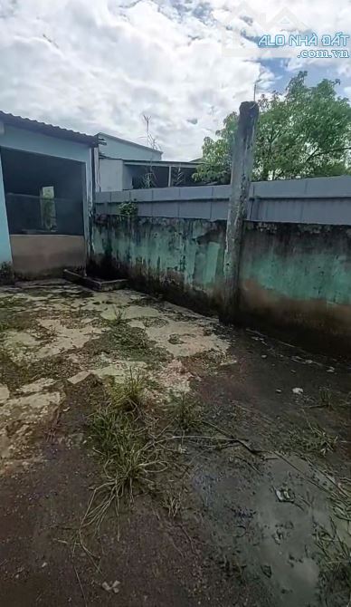 NHÀ NÁT (6x32) MẶT TIỀN THANH NIÊN – BÀ ĐIỂM, HÓC MÔN - GIÁ RẺ HIẾM - 4