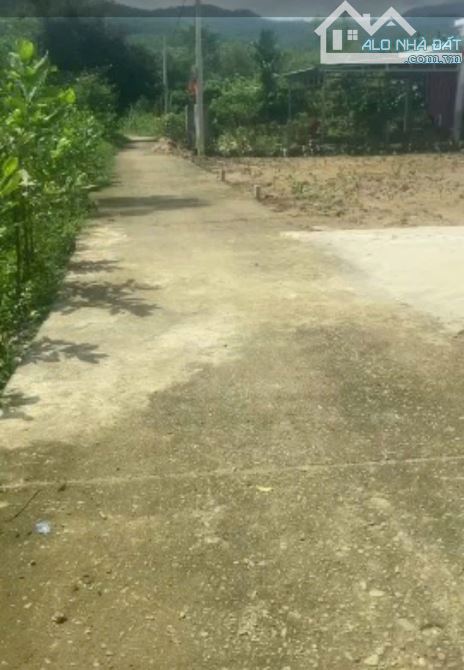 Bán đất Hoà Hải, Hòa Vang, TP. Đà Nẵng dt 120m2 ngang 5,3m giá chỉ 920tr - 2